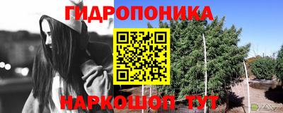 винт Тверь