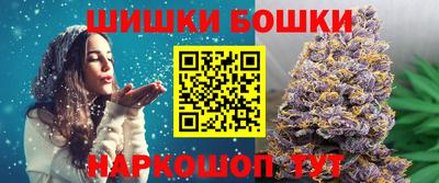 МДПВ Татарск