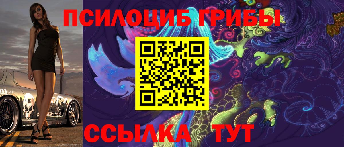 Мытищи  Псилоцибиновые грибы Magic Shrooms  где найти   Псилоцибиновые грибы мицелий  Вход с VPN 